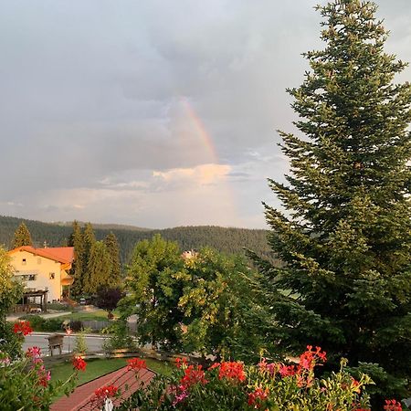 Albero Verde Verano Luaran gambar