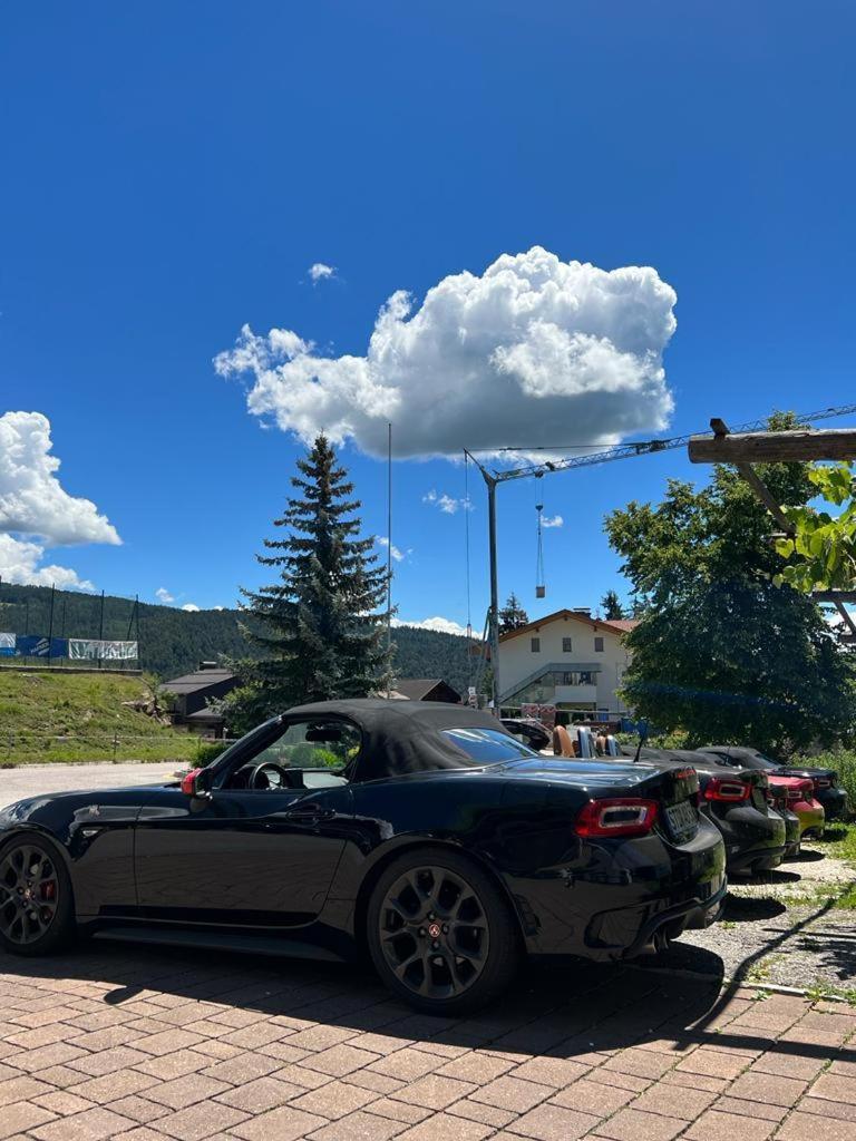 Albero Verde Verano Luaran gambar